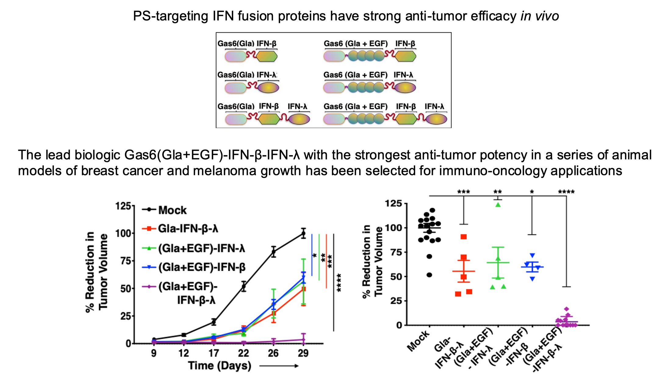 PS-targeting IFN Fusion Proteins for Anti-tumor Applications